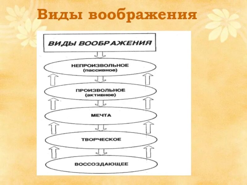 Типы воображения у дошкольников. Развитие воображения школьника. Виды воображения у детей младшего школьного возраста. Виды развития воображения младшего школьника. Особенности воображения ребенка дошкольного возраста