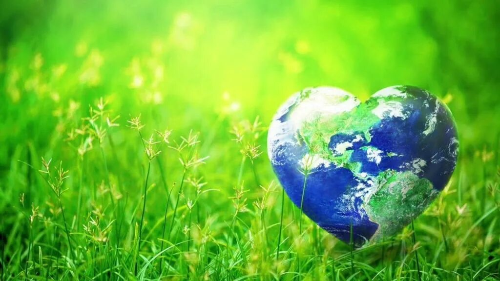 Международное экологическое отношение. Всемирный день окружающей среды. Экология картинки. День земли. День эколога.