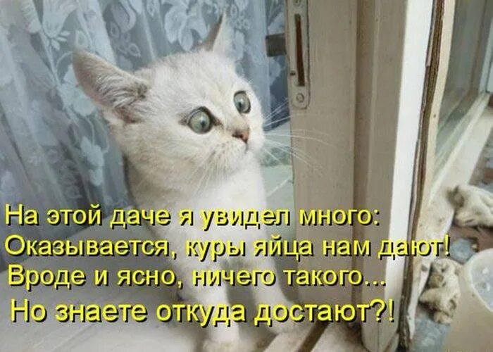 Я вижу многое. Я вижу многое