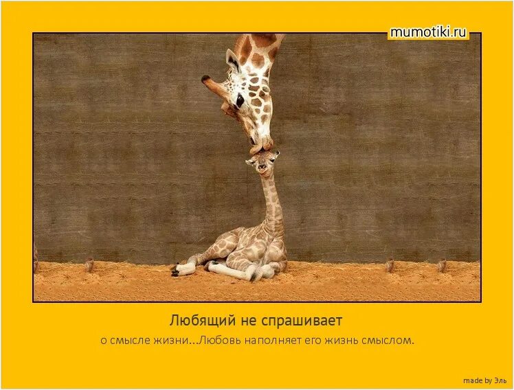 Песня я жизнь хочу наполнить смыслом. Песня я жизнь хочу наполнить смыслом