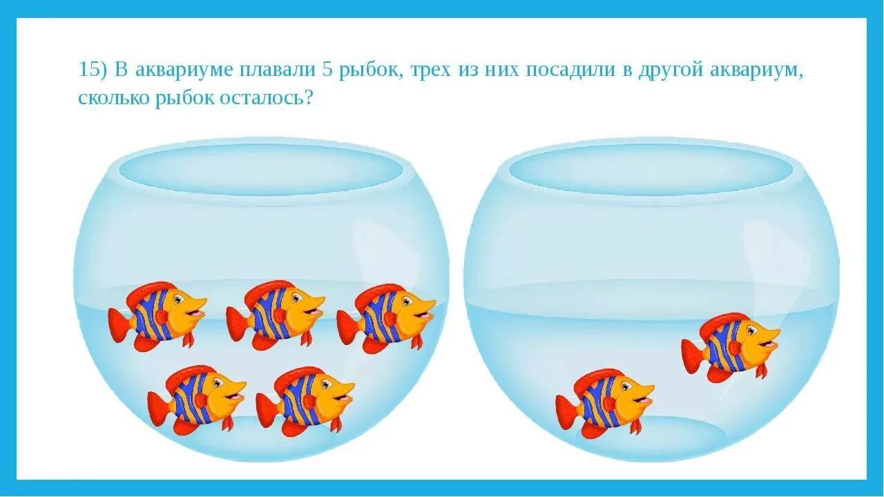 Рыбки для аквариума. Аквариум для дошкольников. Аквариум с рыбками для детей. Занятие рыбки в аквариуме.