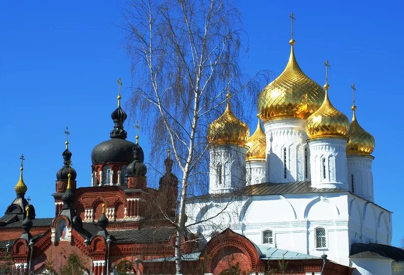 Золотые купола песня слова. Золотые купола песня текст. Храмы с золотыми куполами в россии. Золотые купола московский храм преображения господня. Золотые купола евгений белоусов текст.