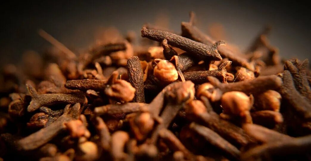 Цветы гвоздики приправа