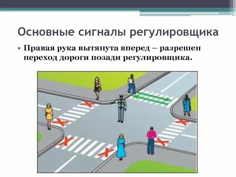 Регулирует но которые