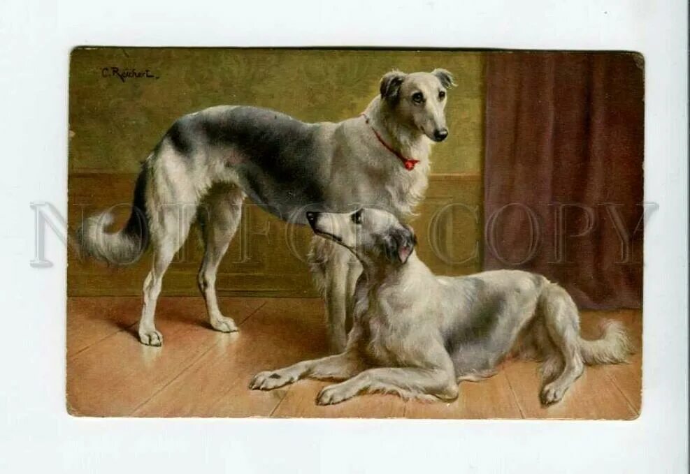 Тип 1.3 no 1766. Собаки Генриха. Картины маслом с.Reichert собаки. Борзая и шпиц. Собаки Генриха III.