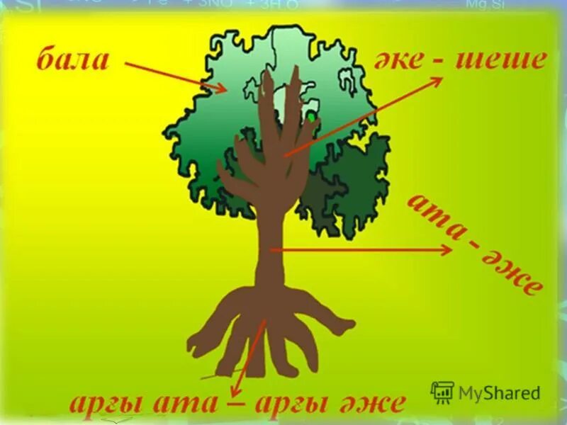 отбасы. рисунок әже.