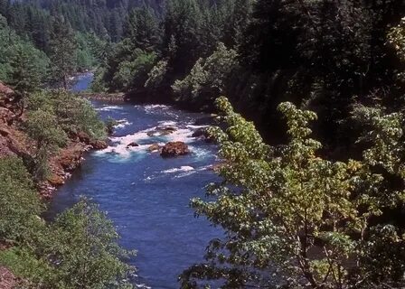 Upper river