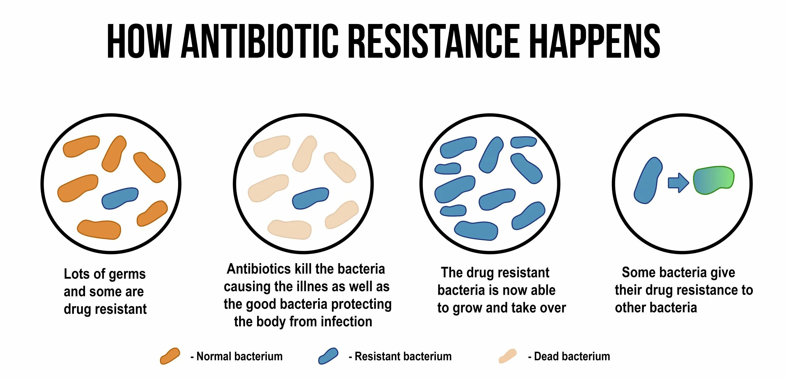 Бактерии устойчивые к антибиотикам. Резистентность к антибиотикам. Причины появление бактерий устойчивых к антибиотикам. Бактерии и антибиотики.