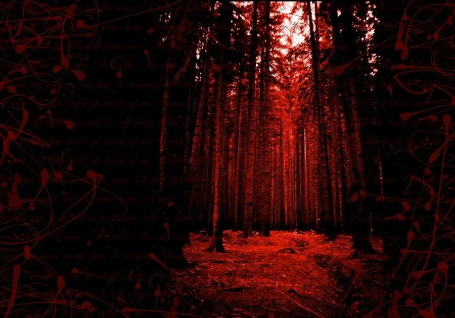 Ужасный фон. Темный Кровавый лес. Страшный лес. Красный Кровавый лес. Страшный фон.