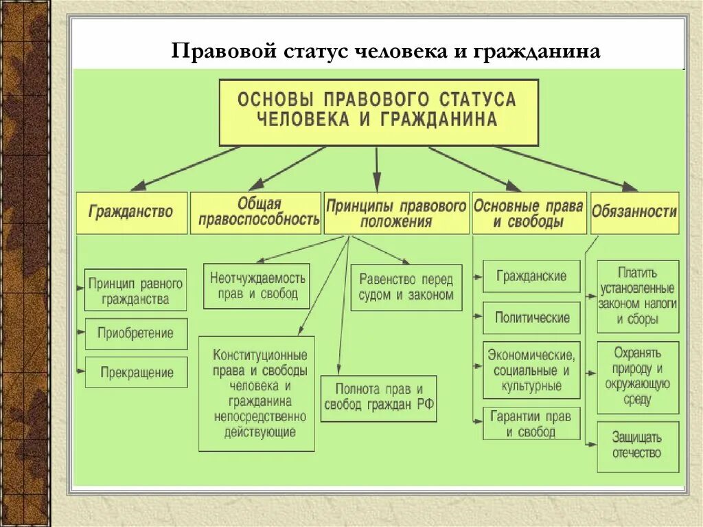 Гражданин и человек таблица. Элементы правового статуса человека в РФ.