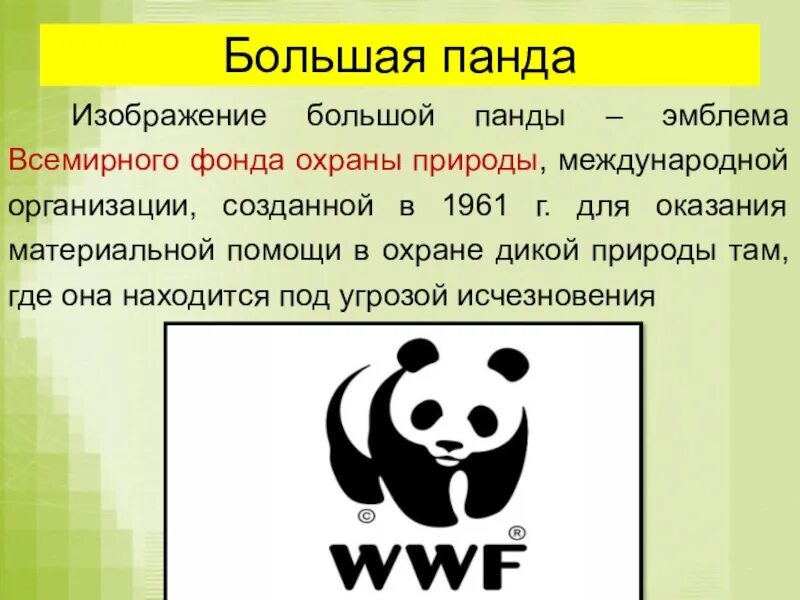 ВВФ фонд дикой природы. Всемирный фонд охраны дикой природы WWF эмблема. Большая Панда символ Всемирного фонда дикой природы. Панда символ WWF. Почему логотипы становятся черными