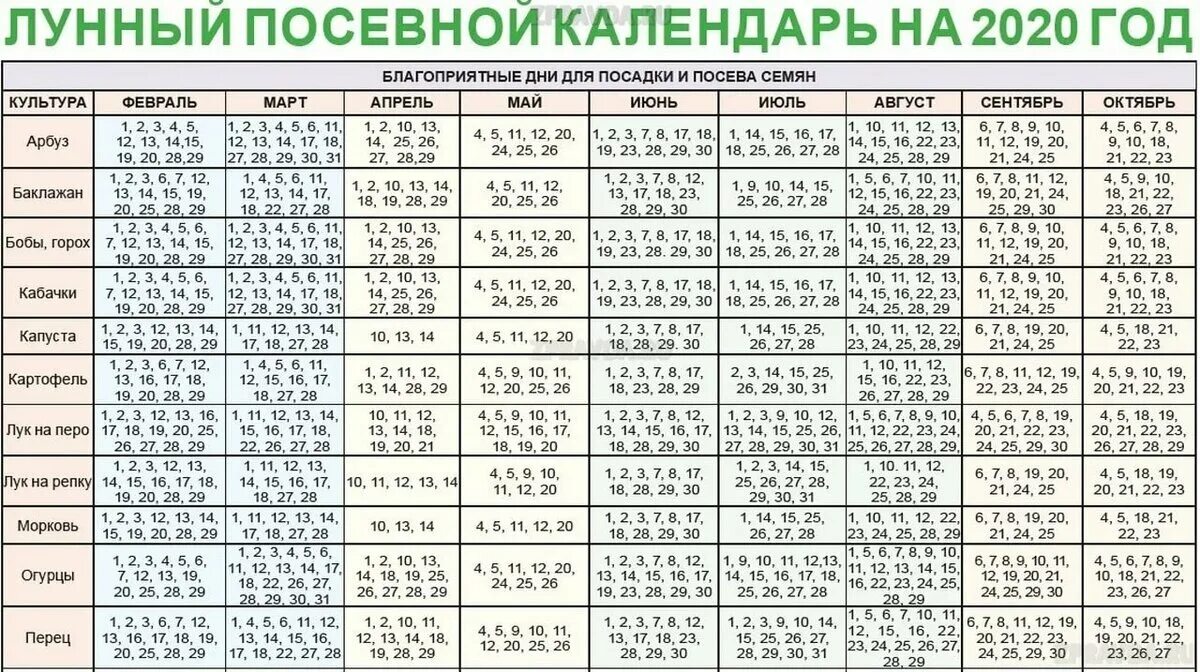 Дни посадки картофеля в апреле. Лунный календарь посадок. благоприятные дни для посад. лунный календарь для посева. благоприятныеидни для поспдки.
