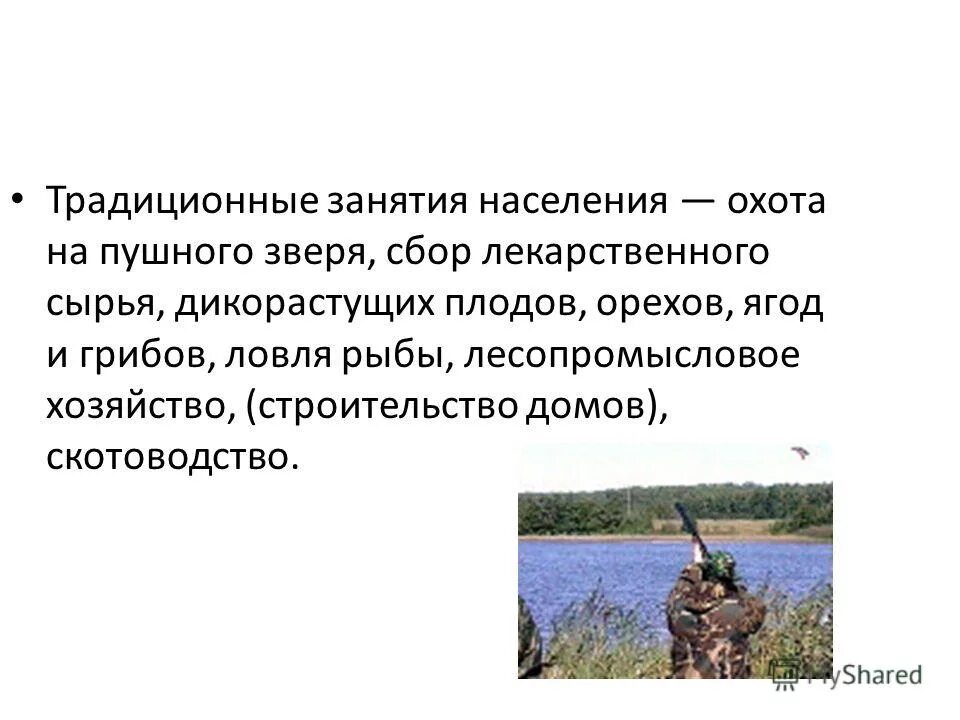 народы и их традиционные занятия. традиционные занятия населения. эвенки стадо оленей. традиционные занятия ненцев. сообщение о ненцах.