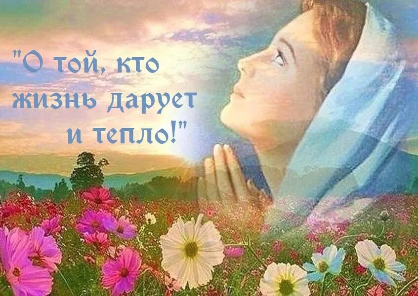 И дарят свет места родные. Счастливые воспоминания. И дарят свет места родные. Дарю нежность. Красивые слова про добро.