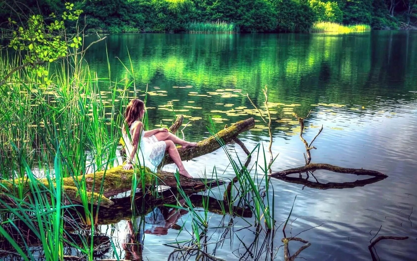 Lake girl. «Девушка у пруда» (1923). Девушки на озере. Фотосессия на пруду.