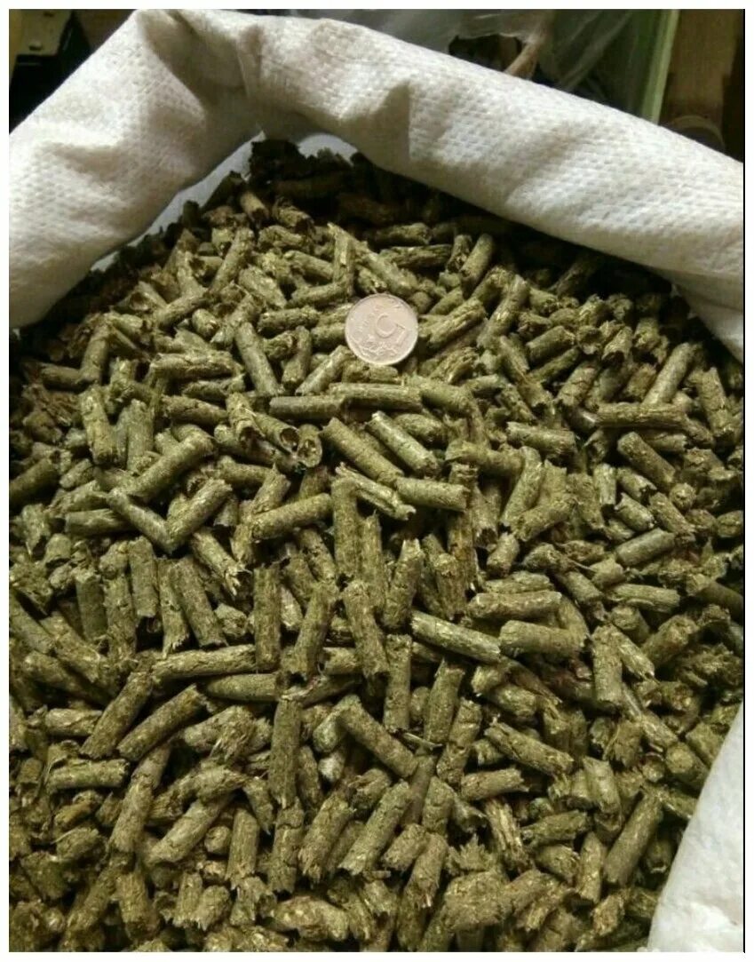 травяная гранула разнотравье. травяная мука гранулы (люцерна). травяные гранулы. гранулы из люцерны. травяная гранула люцерна.