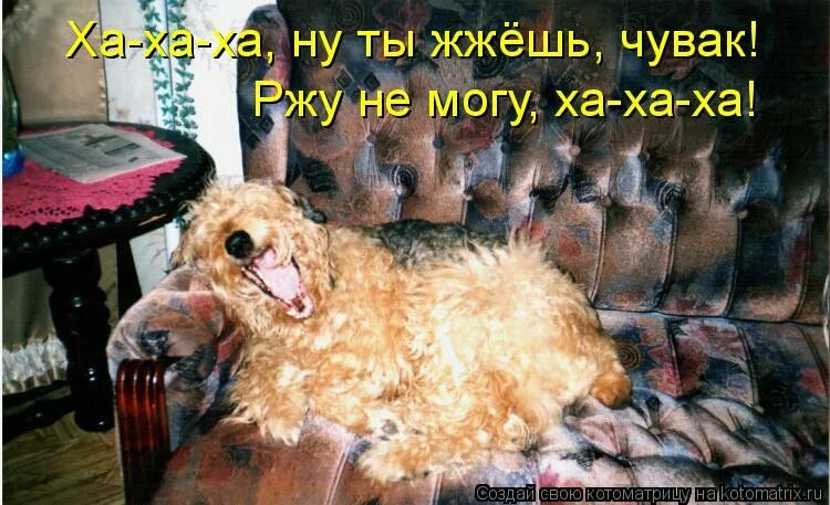 не могу от. нет слова немогу,. не могу от. не могу от. девочки хотят походить на женщин.