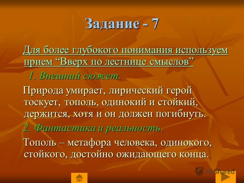 чтение способствует. функции районирования. значимые открытия. разработка it-стратегии в организации. тополь фет тема природа.