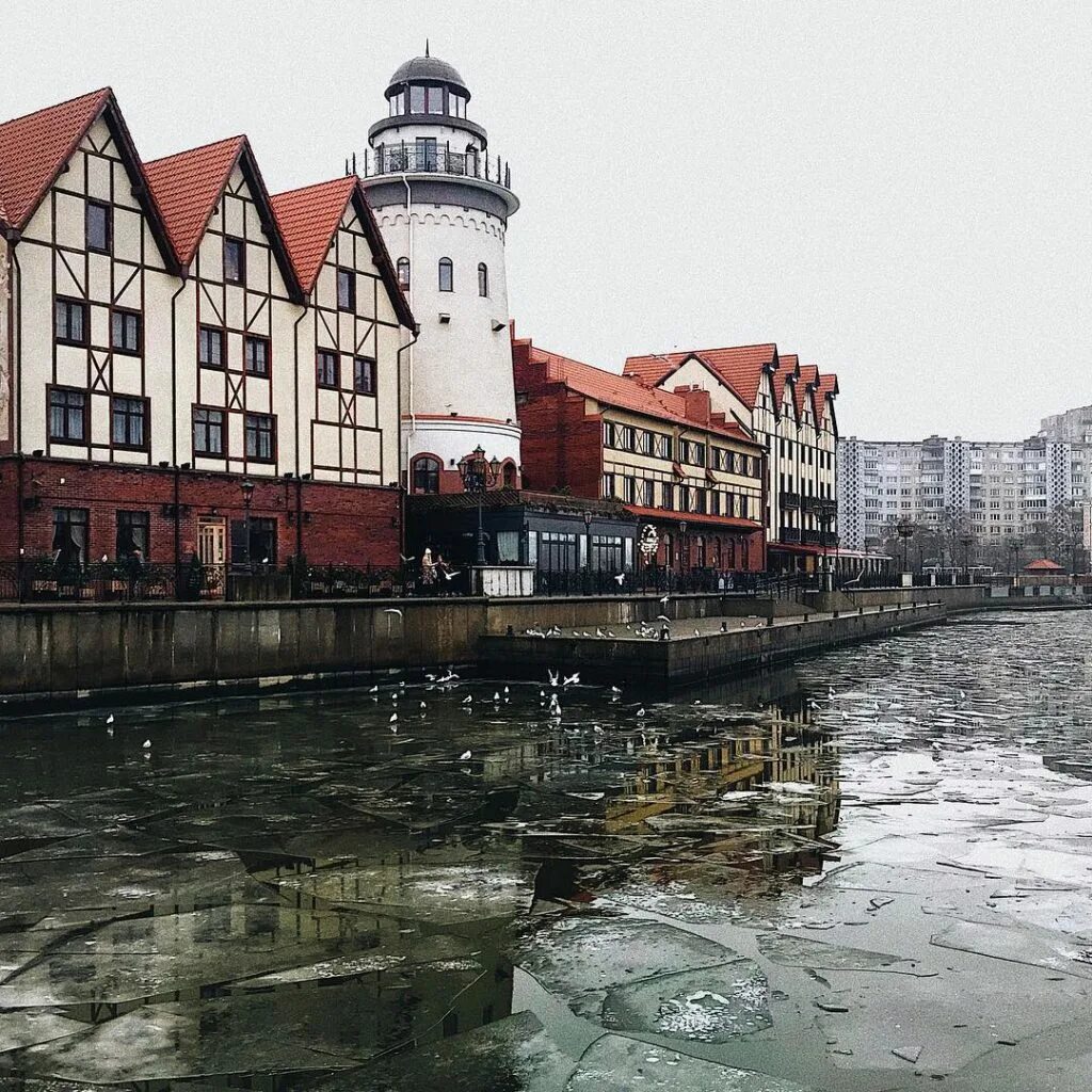 Гостиница зеленоградск нессельбек калининград. Что можно посетить в калининграде. Что можно посетить в калининграде. Что можно посетить в калининграде. «королевские выходные + замок нессельбек».