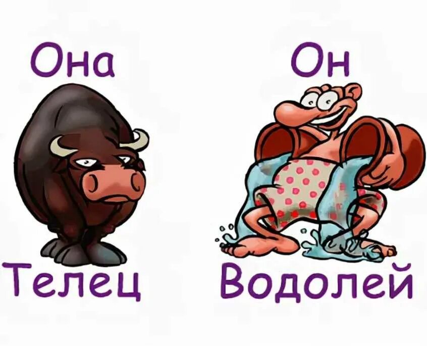 Дева девушка телец девушка совместимость. Телец и водолей. теле и водолей совместимость. совместимость тельца и водолея. телец и водолей совместимость.