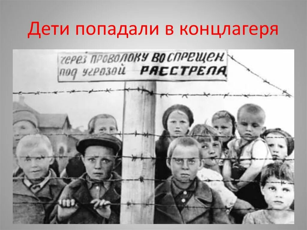 Узник концлагеря приравнен. День освобождения узников фашистских концлагерей презентация. Концлагеря презентация. Узник концлагеря приравнен. Узники фашистских концлагерей презентация.