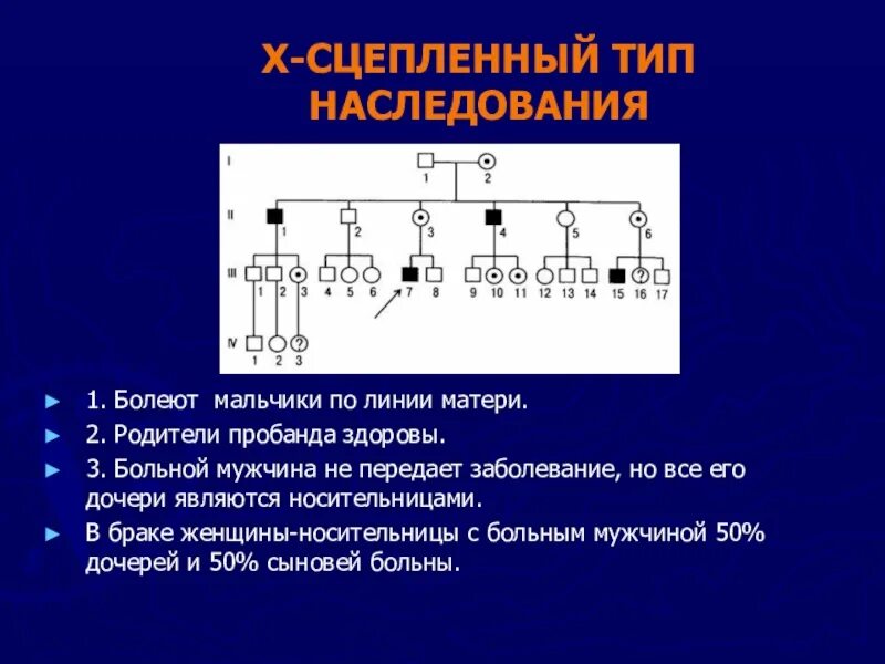 X сцепленный Тип наследования. X сцепленный рецессивный Тип наследования. У сцепленный Тип наследования. Y сцепленный рецессивный Тип наследования.