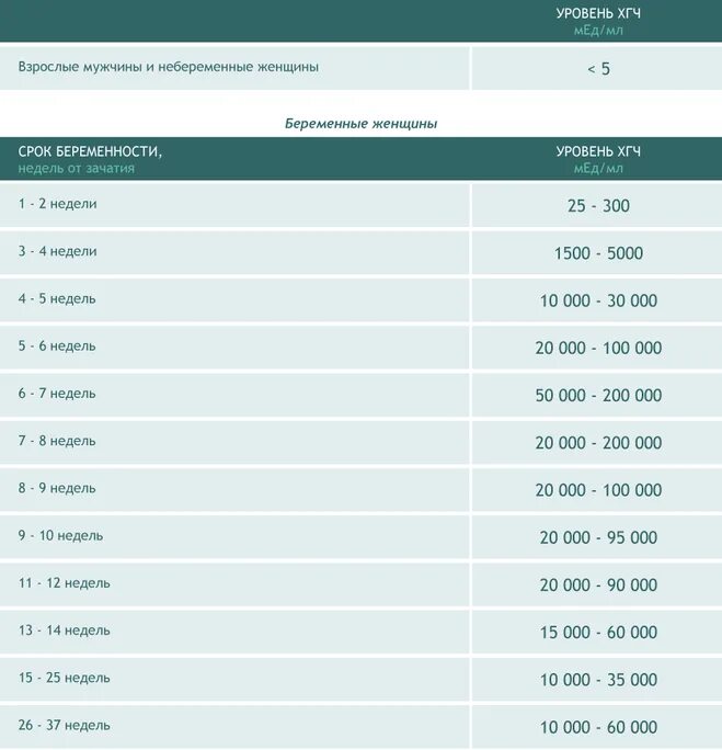 Таблица гормона ХГЧ по неделям беременности (норма)