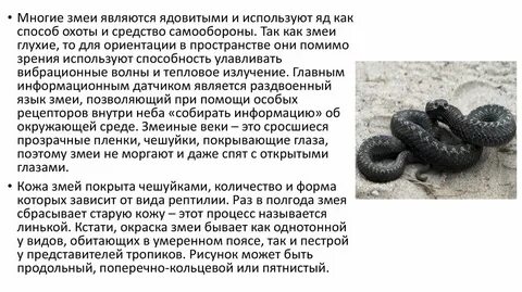 Чешуей число