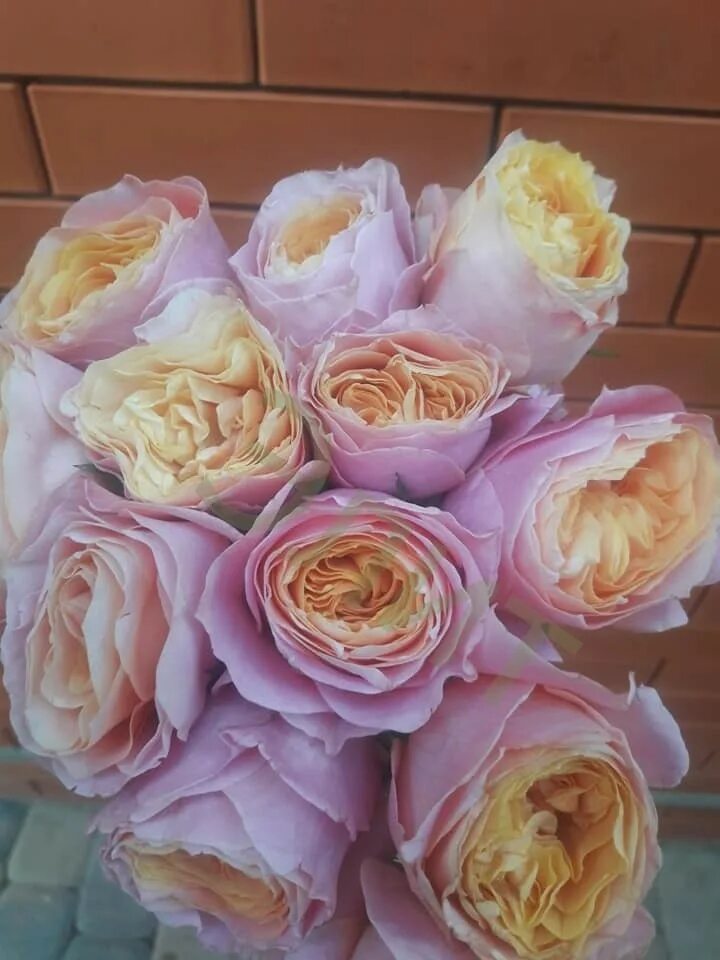 Лав фо ми. Открытка май лав фор ю. Карточка my love for you always forever. Лав фо ми. Открытка my love you always forever.
