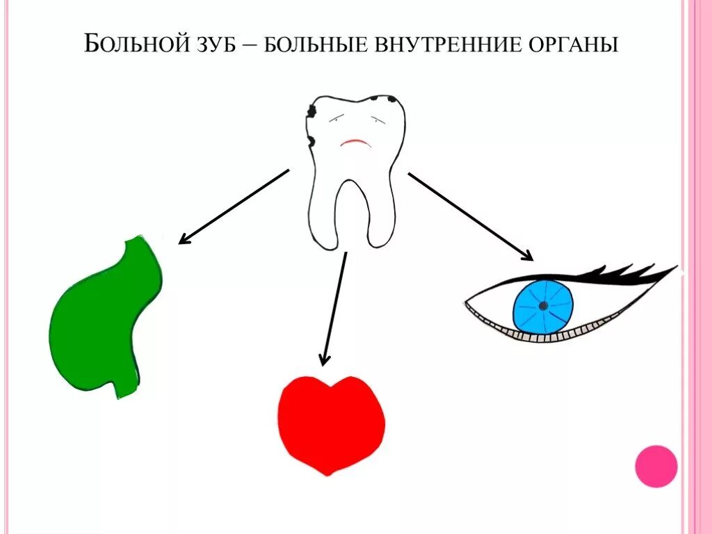 Связь зубов с органами. Зубы и органы взаимосвязь. Зубы и внутренние органы. Связь зубов и внутренних органов схема. Взаимосвязь зубов и внутренних органов человека.