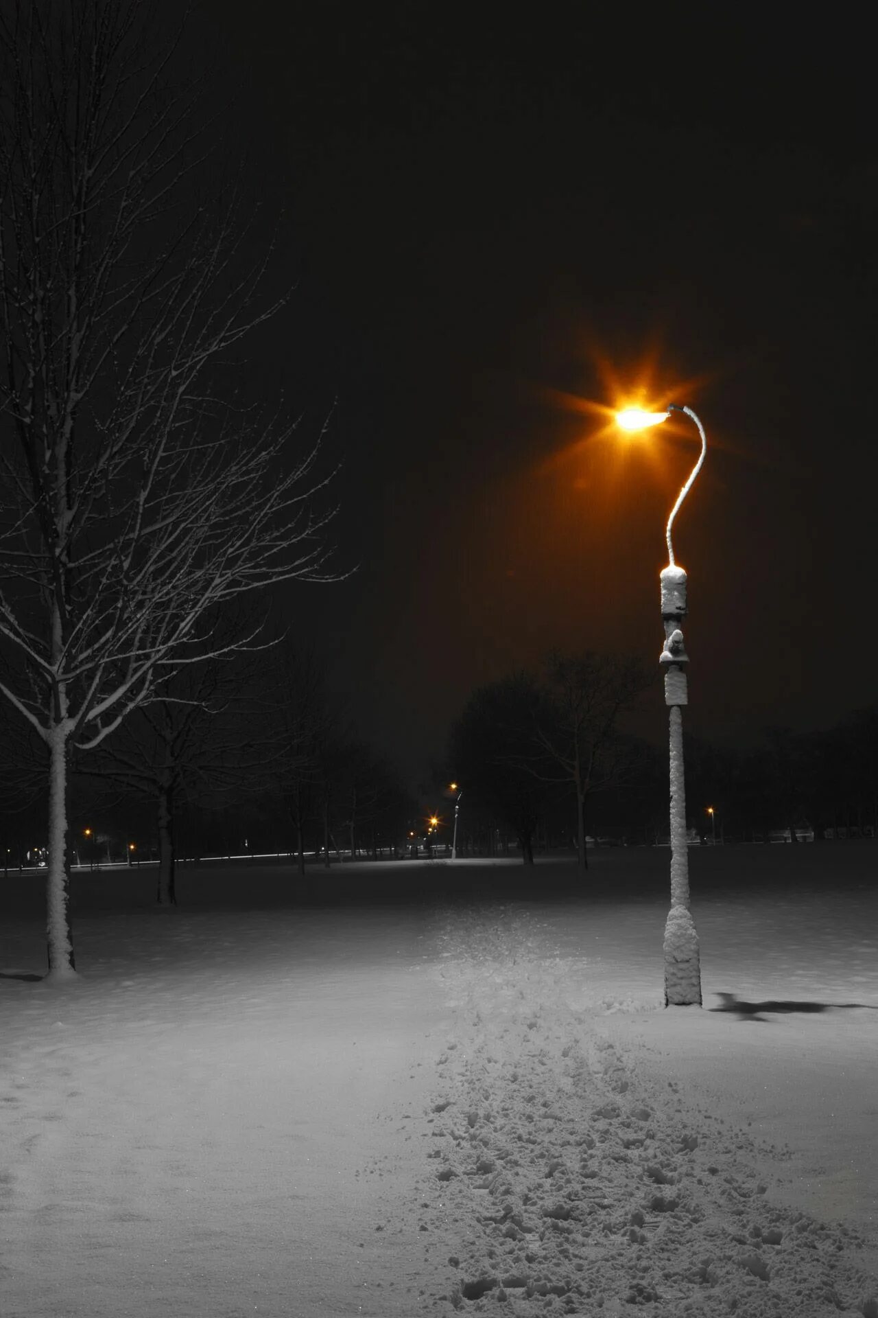 Фонарный столб на улице. Фонарный столб ночью. Уличный фонарь ночью. Уличное освещение зимой.