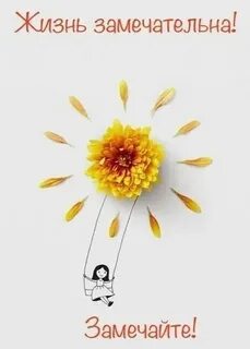 i?id=08f7b4eab92e9875eef1fbc46e2da803d55faac8-5110356-images-thumbs&n=13