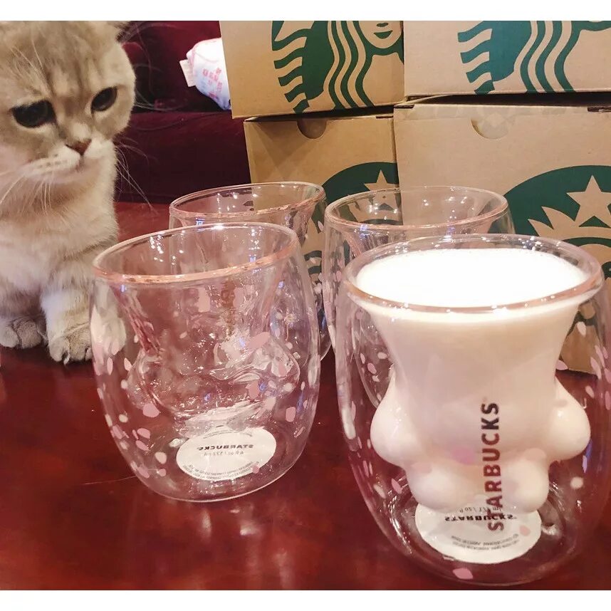 Стакан Starbucks Cat Paw Cup. Кружка Старбакс Кошачья лапка. Кружка лапка Старбакс. Чашка Кошачья лапка Старбакс.