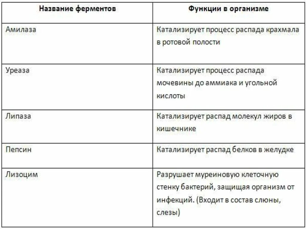 Ферменты и их функции таблица. Функции ферментов схема. Функции ферментов в организме человека.