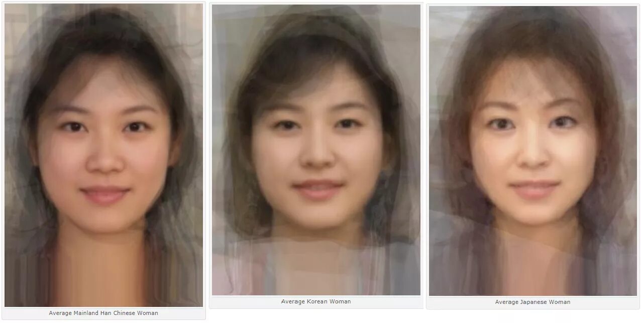 Как отличить корейца от китайца и японца. Усредненный портрет. Среднестатистический портрет. Усредненное лицо. Монголоидный Тип лица.