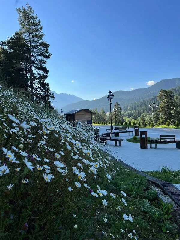 предложение пила поднебесную синеву какой падеж. танцующая девушка на природе. человек и природа. поляна наслаждалась солнцем и пила поднебесную. девушка в солнечных лучах.