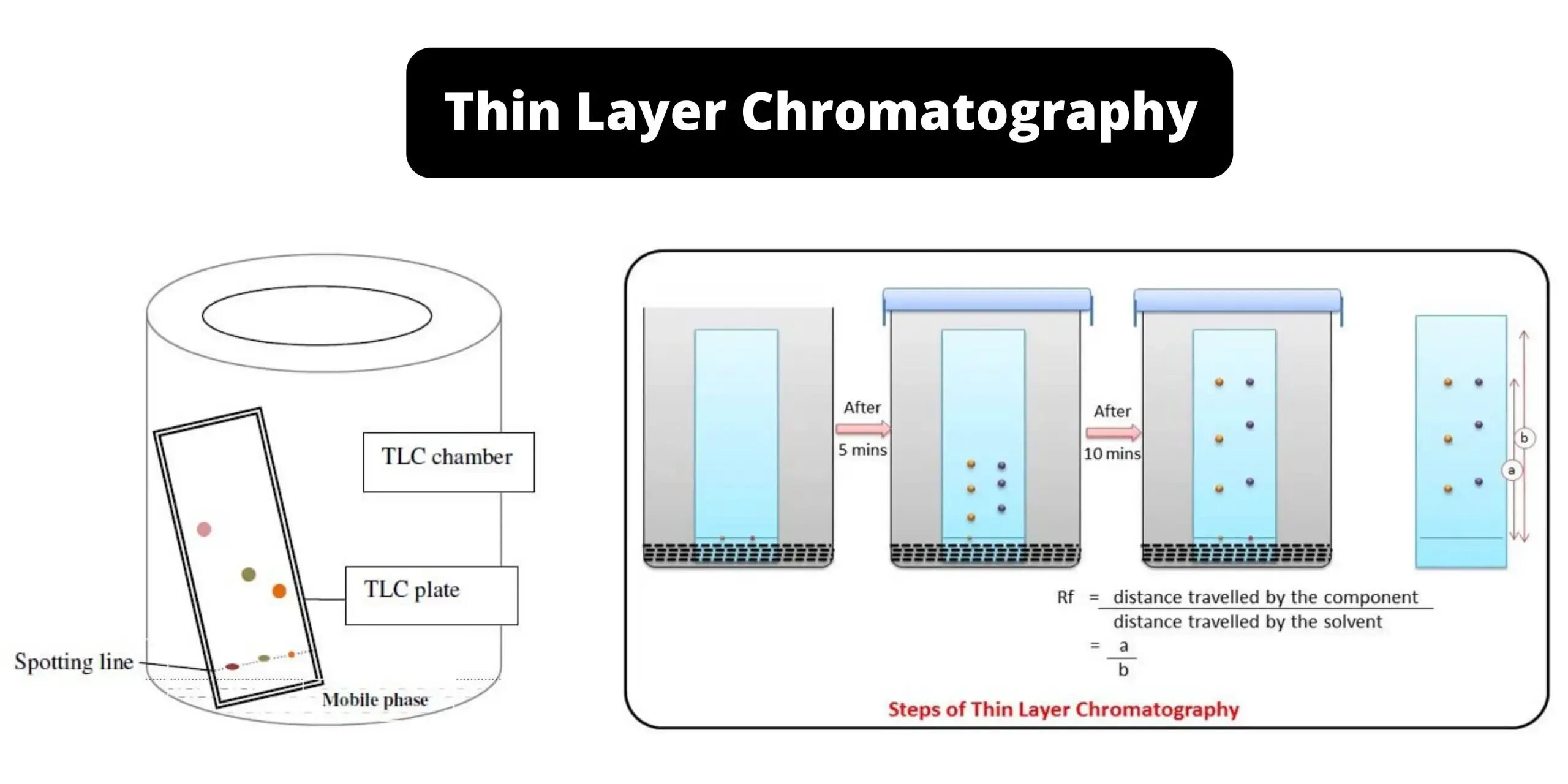 Thin layer. Тонкослойная хроматография. высокоэффективная тонкослойная хроматография. thin layer chromatography. принцип тонкослойной хроматографии.