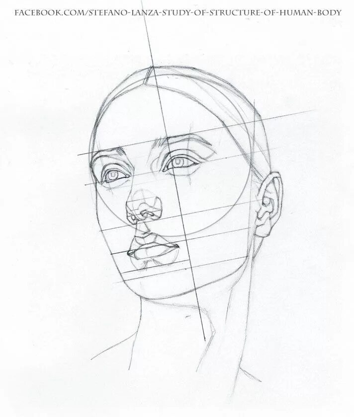 Рисунок лица 1 3. Набросок лица. Зарисовки лица человека. Схема лица человека для рисования. Схематический портрет лица.