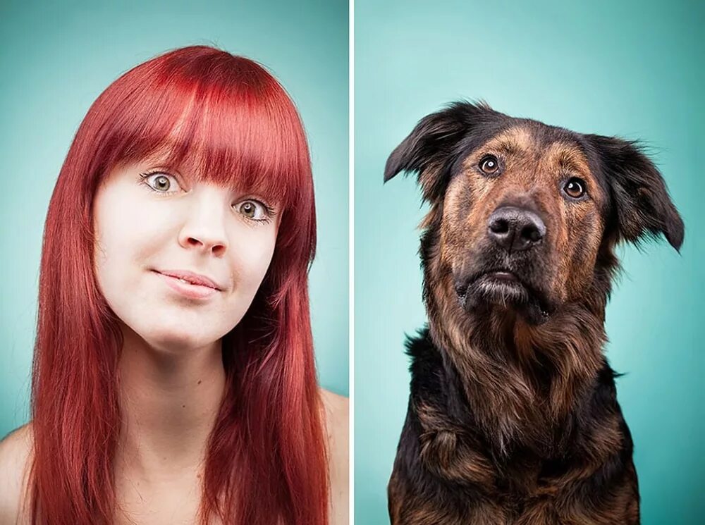 Собаки похожи на хозяев. Люди похожие на своих питомцев. Люди похожие на своих собак. Эмоции людей и собак.