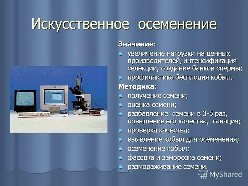 Значение искусственного осеменения. Искусственное осеменение метод селекции. Значение искусственного оплодотворения в растениеводстве.