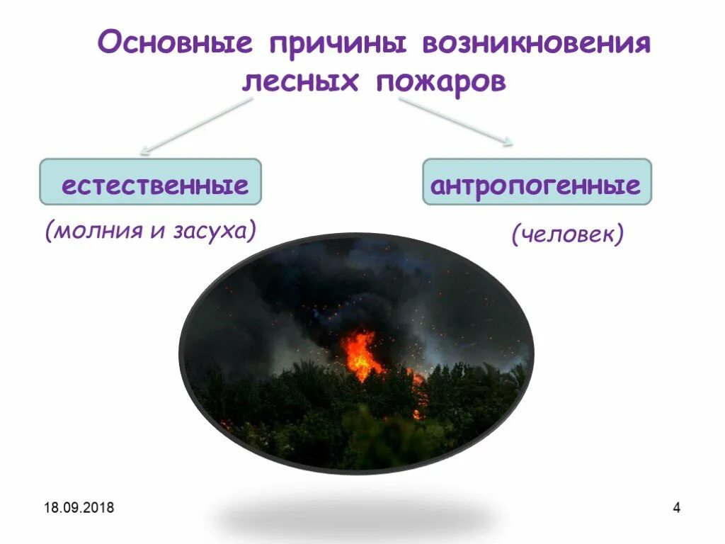 Причины возникновения лесных пожаров природные и антропогенные. Естественные причины лесных пожаров. Основная причина лесных пожаров. Антропогенные причины возникновения лесных пожаров. Каковы основные возникновения лесных пожаров