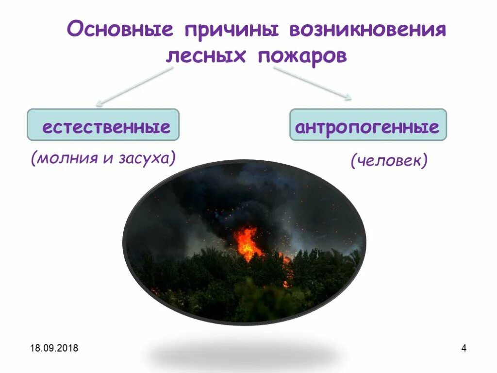 Факторы возникновения лесных пожаров. Причины возникновения лесных пожаров природные и антропогенные. Естественные причины лесных пожаров. Основная причина лесных пожаров. Антропогенные причины возникновения лесных пожаров.