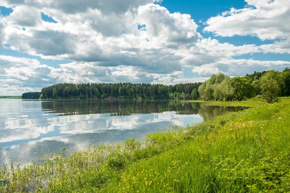 Руза водохранилище. Озерное водохранилище руза. Озеро рузское водохранилище. Водохранилище в рузском районе. Руза московская область водохранилище.