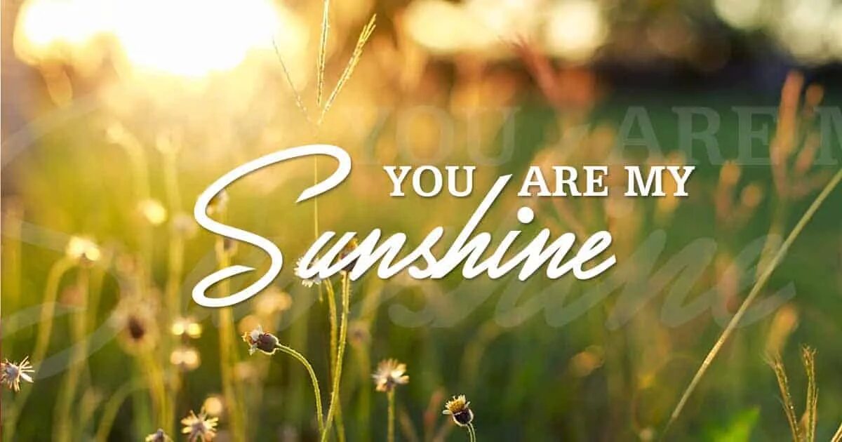 Фф you are my warmth. You are my Sunshine. You are my Spring картинки. Картинка your Sunshine. Sunshine Настя.