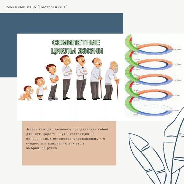 Семилетние циклы жизни. Семилетние циклы развития человека. Семилетние циклы в жизни человека. Семилетний жизненный цикл человека. Жизненные циклы человека 7 лет.