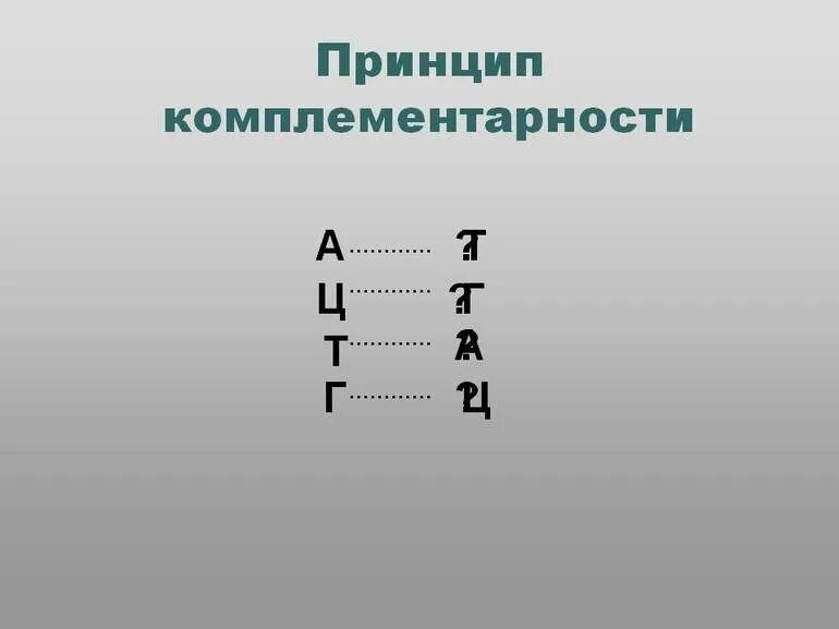 Достроить вторую цепь днк. Принцип комплементарности нуклеотидов. Принцип комплементарности ДНК. Принцип компелементра. Принцип комплектарности.