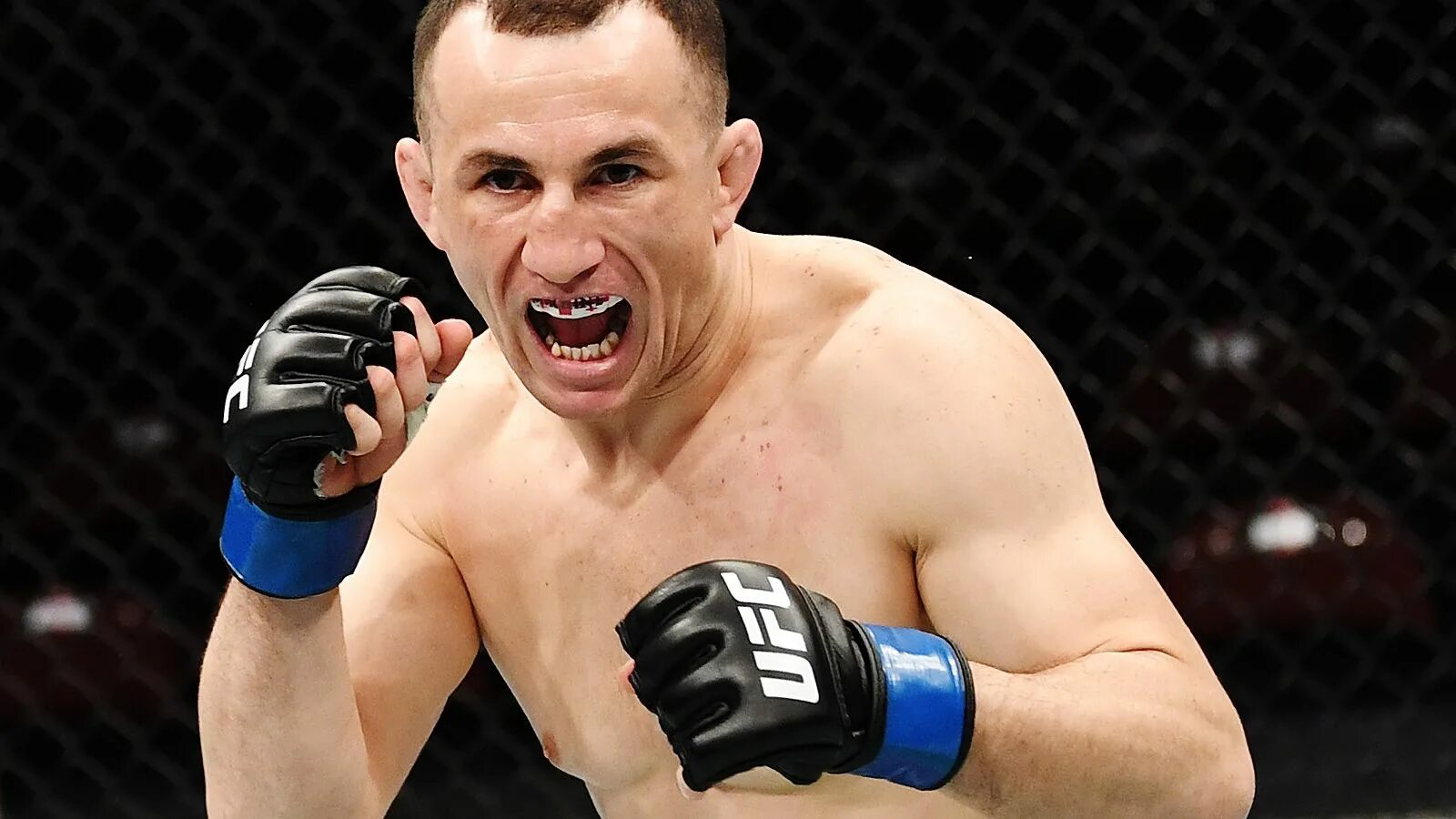 Двалишвили видео. Двалишвили видео. Двалишвили видео. Двалишвили боец ufc. Двалишвили видео.