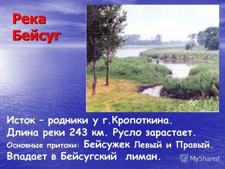 Река Бейсуг Краснодарского края. Протяжённость реки Кубань в Краснодарском крае. Водоёмы Краснодарского края. Бейсуг (река) реки Краснодарского края. Река ея рассказ