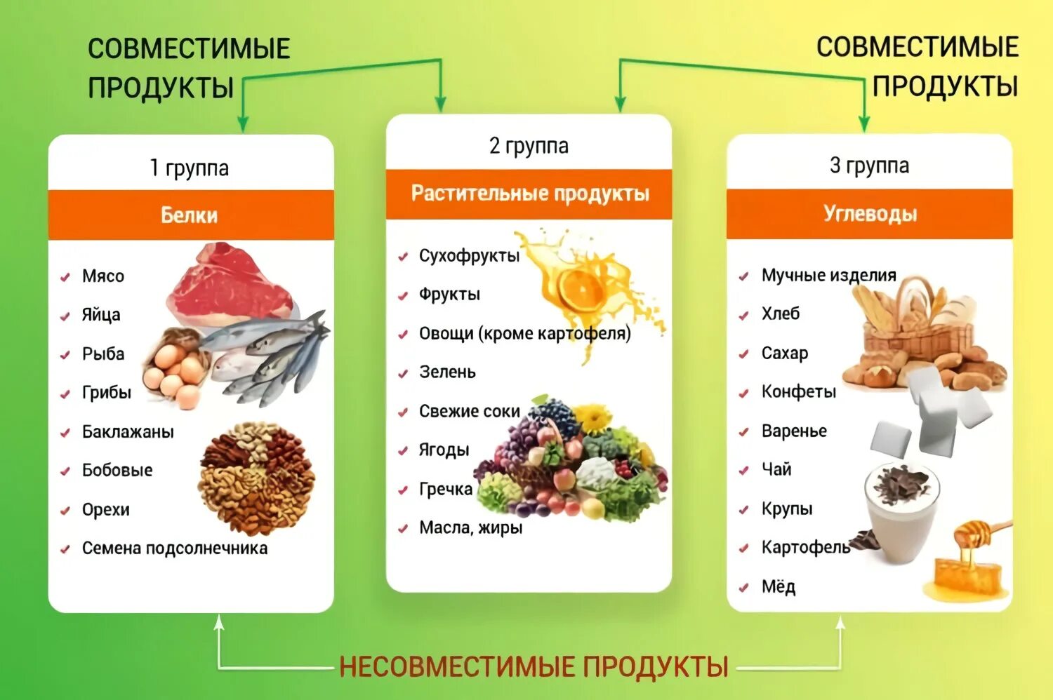 К протеинам относятся. Схема питания белки жиры углеводы. Таблица совместимости продуктов белки жиры углеводы. Правильное питание белки жиры углеводы таблица. Неумывакин схема белки углеводы.