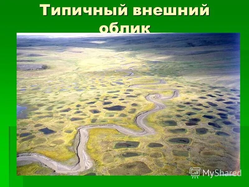озеро красное чукотка. арктика тундра лесотундра. типичный внешний облик тундры и лесотундры. типичный облик тундры. средняя тундра или типичная тундра.